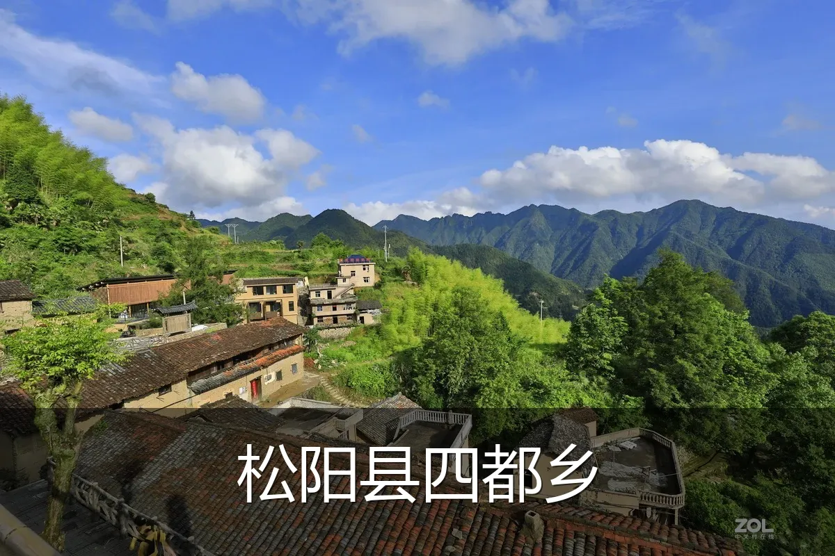 松阳县四都乡