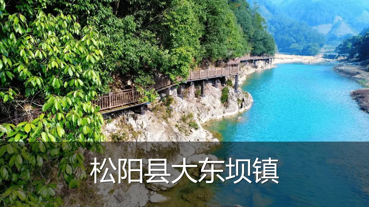 松阳县大东坝镇