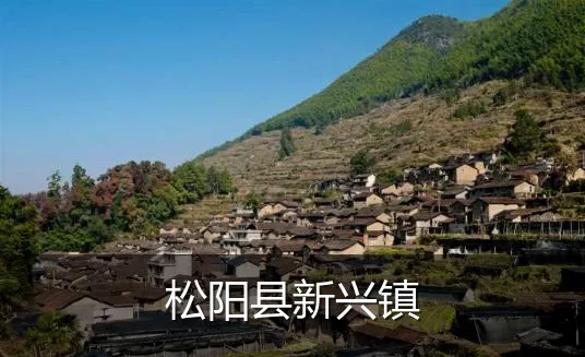 松阳县新兴镇