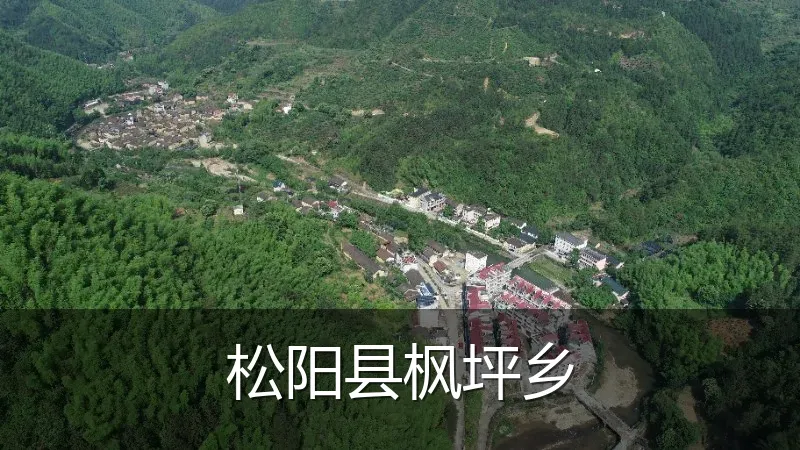 松阳县枫坪乡